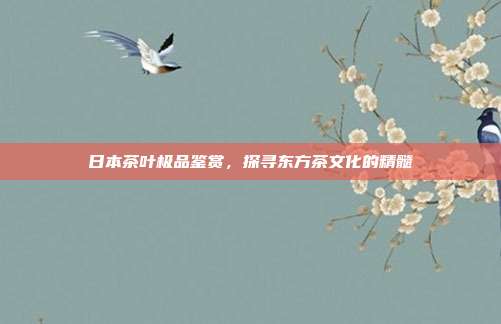 日本茶叶极品鉴赏，探寻东方茶文化的精髓