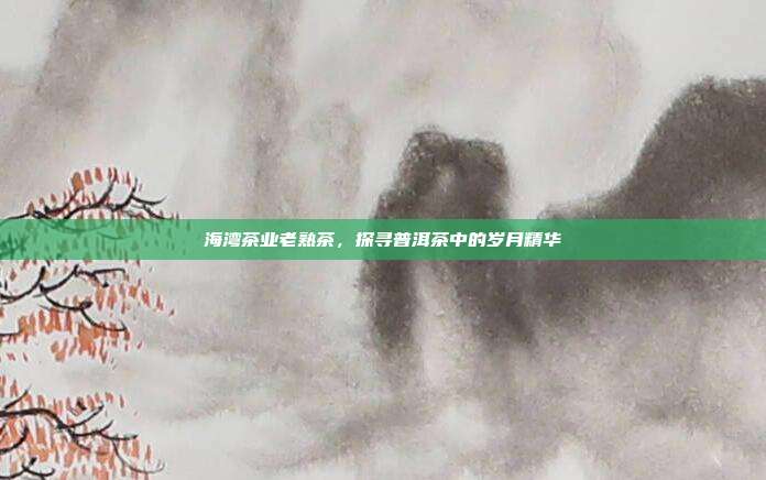海湾茶业老熟茶，探寻普洱茶中的岁月精华