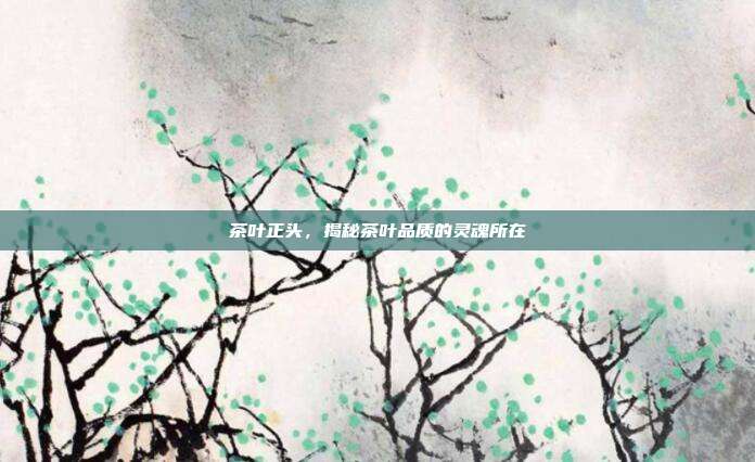 茶叶正头，揭秘茶叶品质的灵魂所在