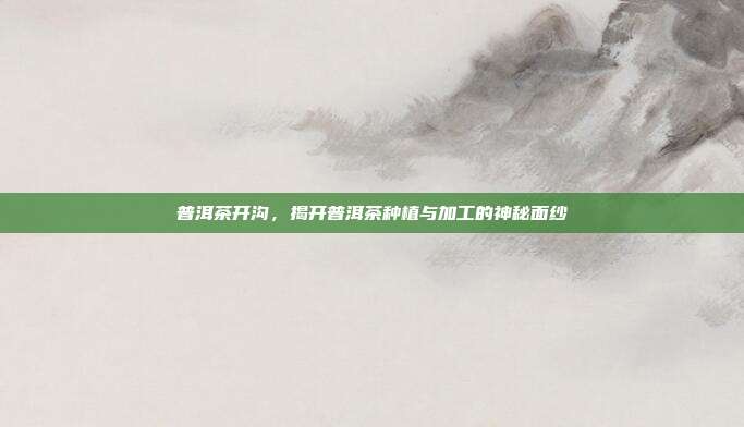 普洱茶开沟，揭开普洱茶种植与加工的神秘面纱