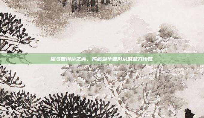 探寻普洱茶之美，揭秘当年普洱茶的魅力所在