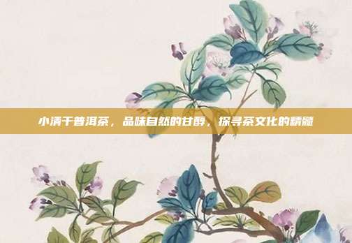 小清干普洱茶，品味自然的甘醇，探寻茶文化的精髓