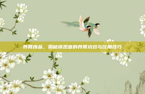 养胃良品，揭秘铁观音的养胃功效与饮用技巧