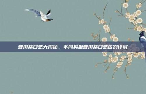 普洱茶口感大揭秘，不同类型普洱茶口感区别详解