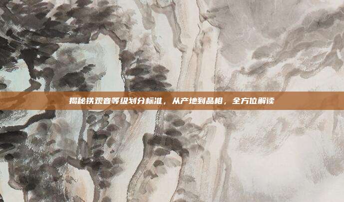 揭秘铁观音等级划分标准，从产地到品相，全方位解读