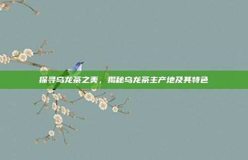 探寻乌龙茶之美，揭秘乌龙茶主产地及其特色