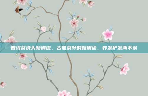 普洱茶洗头新潮流，古老茶叶的新用途，养发护发两不误