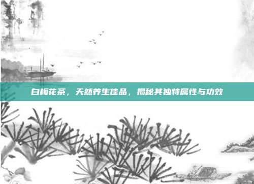 白梅花茶，天然养生佳品，揭秘其独特属性与功效