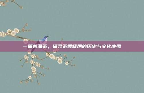 一简普洱茶，探寻茶香背后的历史与文化底蕴