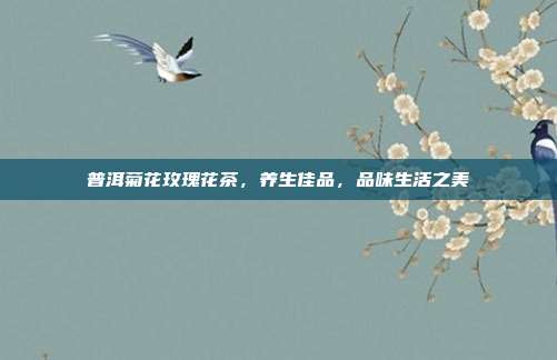 普洱菊花玫瑰花茶，养生佳品，品味生活之美