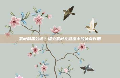 茶叶解药效吗？探究茶叶在健康中的神奇作用