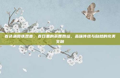 春色满园铁观音，春日里的茶香四溢，品味传统与自然的完美交融