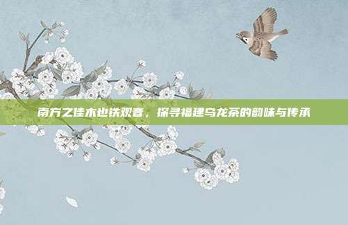 南方之佳木也铁观音，探寻福建乌龙茶的韵味与传承
