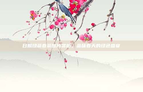 日照绿茶春茶图片赏析，品味春天的绿色盛宴