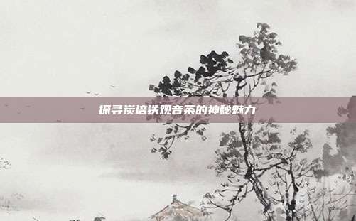探寻炭培铁观音茶的神秘魅力