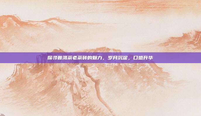 探寻普洱茶老茶砖的魅力，岁月沉淀，口感升华