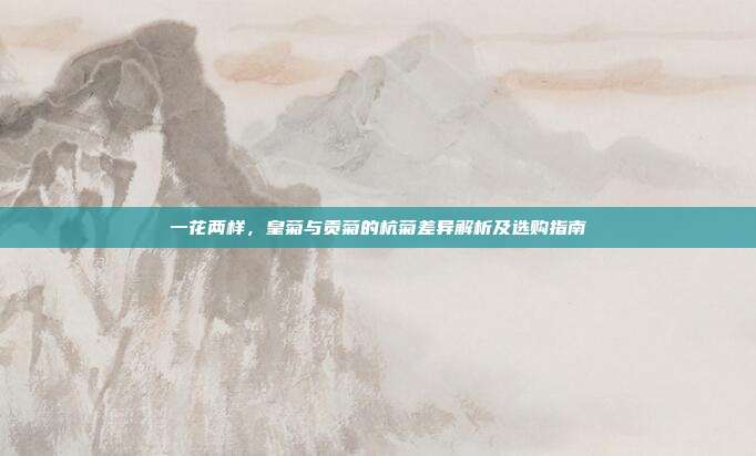 一花两样，皇菊与贡菊的杭菊差异解析及选购指南