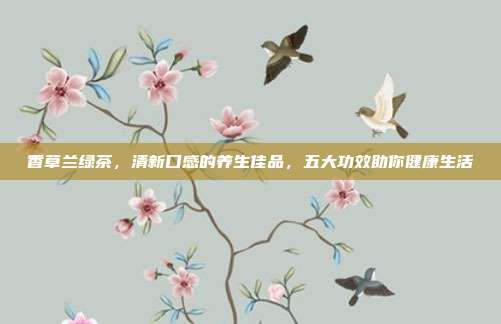 香草兰绿茶，清新口感的养生佳品，五大功效助你健康生活
