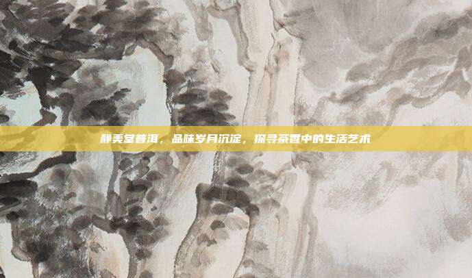 静美堂普洱，品味岁月沉淀，探寻茶香中的生活艺术