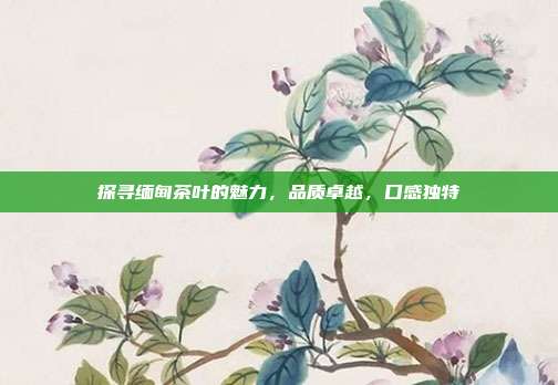 探寻缅甸茶叶的魅力，品质卓越，口感独特