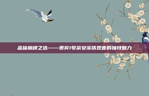 品味巅峰之选——贵宾1号茶安溪铁观音的独特魅力