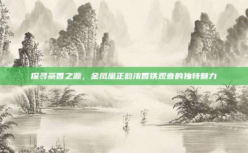 探寻茶香之源，金凤凰正韵浓香铁观音的独特魅力