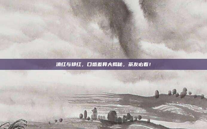 滇红与祁红，口感差异大揭秘，茶友必看！