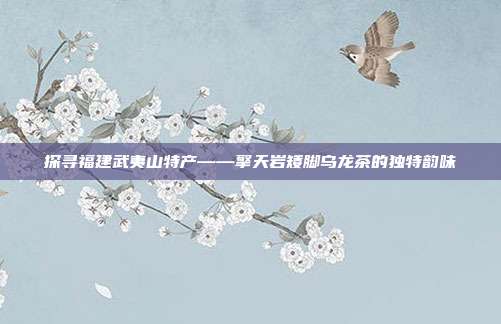 探寻福建武夷山特产——擎天岩矮脚乌龙茶的独特韵味