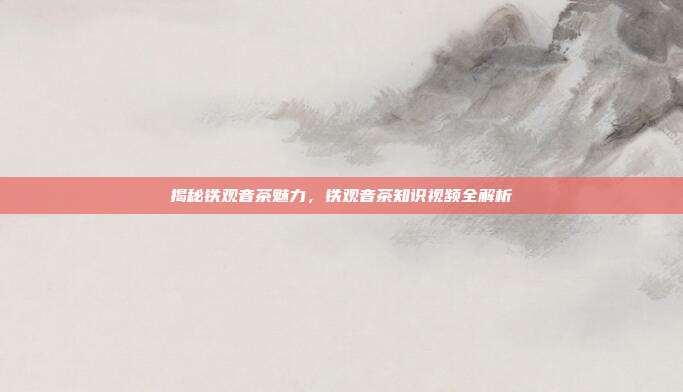 揭秘铁观音茶魅力，铁观音茶知识视频全解析
