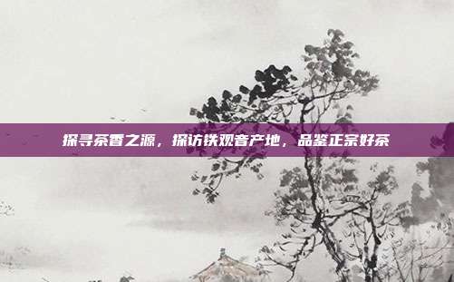 探寻茶香之源，探访铁观音产地，品鉴正宗好茶