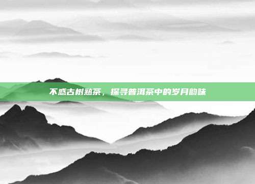 不惑古树熟茶，探寻普洱茶中的岁月韵味