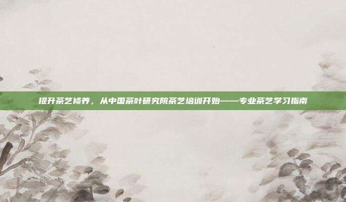 提升茶艺修养，从中国茶叶研究院茶艺培训开始——专业茶艺学习指南