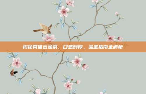 揭秘简体云熟茶，口感醇厚，品鉴指南全解析