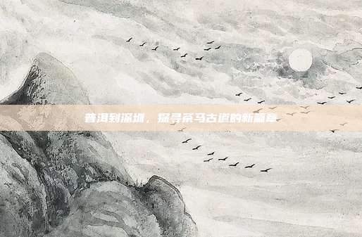 普洱到深圳，探寻茶马古道的新篇章