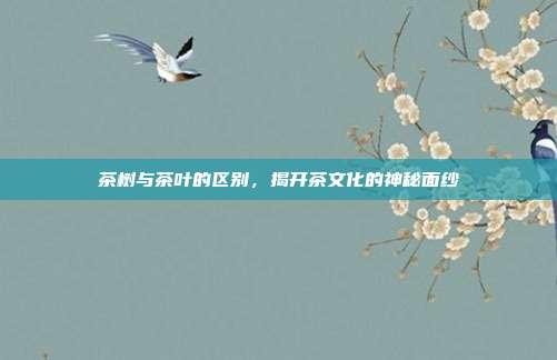 茶树与茶叶的区别，揭开茶文化的神秘面纱