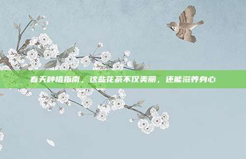 春天种植指南，这些花茶不仅美丽，还能滋养身心