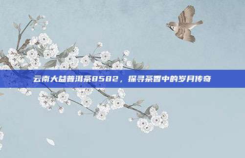 云南大益普洱茶8582，探寻茶香中的岁月传奇