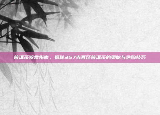 普洱茶鉴赏指南，揭秘357克直径普洱茶的奥秘与选购技巧
