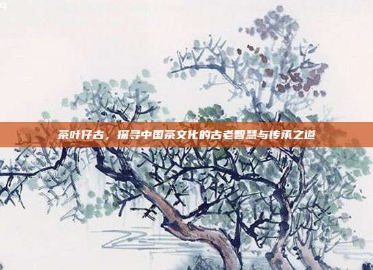 茶叶仔古，探寻中国茶文化的古老智慧与传承之道