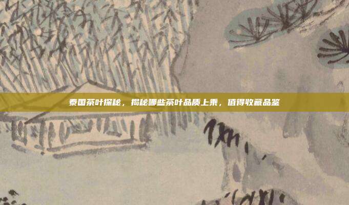 泰国茶叶探秘，揭秘哪些茶叶品质上乘，值得收藏品鉴