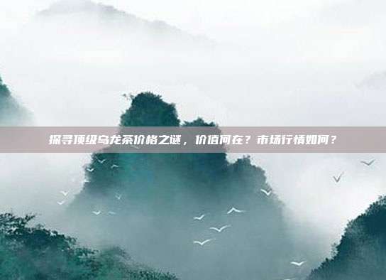 探寻顶级乌龙茶价格之谜，价值何在？市场行情如何？