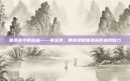 普洱茶中的珍品——黄金芽，带你领略普洱茶的独特魅力
