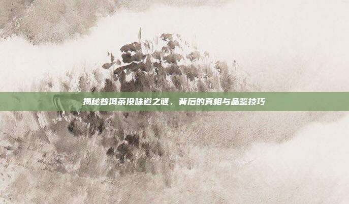揭秘普洱茶没味道之谜，背后的真相与品鉴技巧
