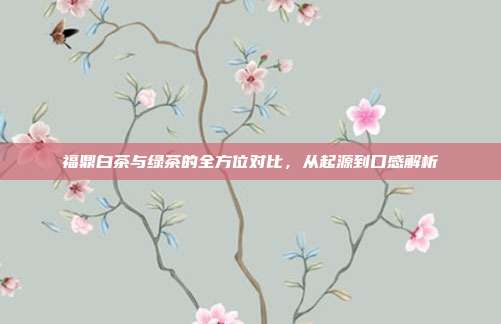 福鼎白茶与绿茶的全方位对比，从起源到口感解析