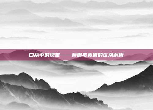 白茶中的瑰宝——寿眉与贡眉的区别解析