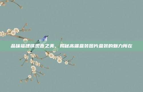 品味福建铁观音之美，揭秘高端盒装图片盒装的魅力所在