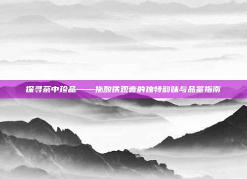 探寻茶中珍品——拖酸铁观音的独特韵味与品鉴指南
