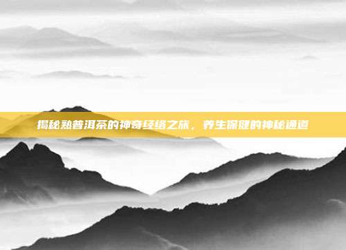 揭秘熟普洱茶的神奇经络之旅，养生保健的神秘通道