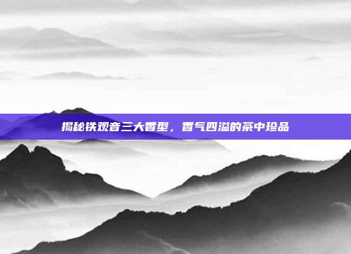 揭秘铁观音三大香型，香气四溢的茶中珍品
