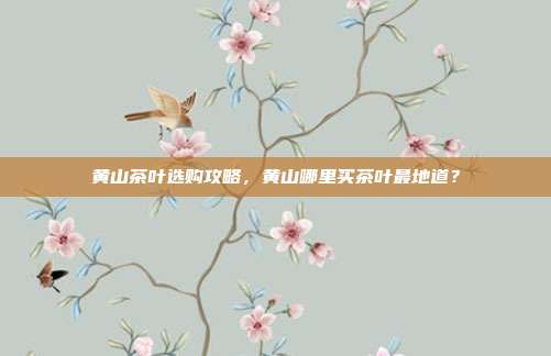 黄山茶叶选购攻略，黄山哪里买茶叶最地道？